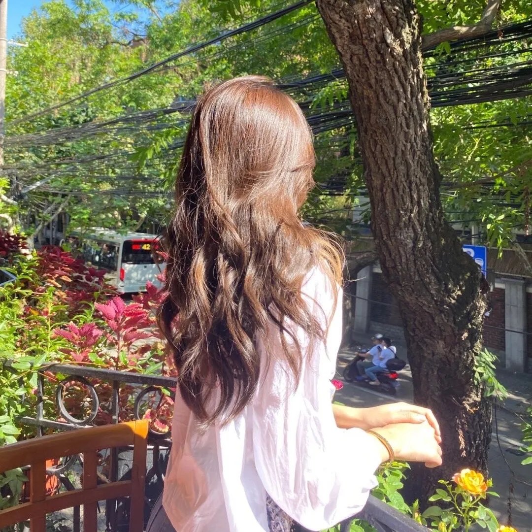美的世界